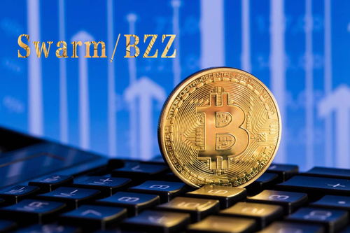 BZZ節點與Swarm網絡 聚焦數據安全與物聯網服務優勢